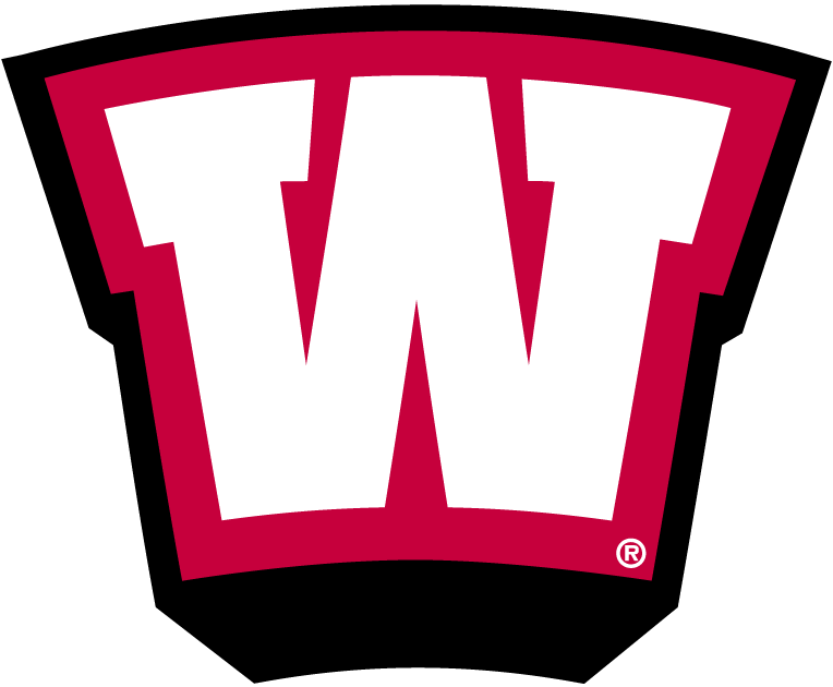 Western Kentucky Hilltoppers 1999-Pres Alternate Logo v3 diy DTF decal sticker